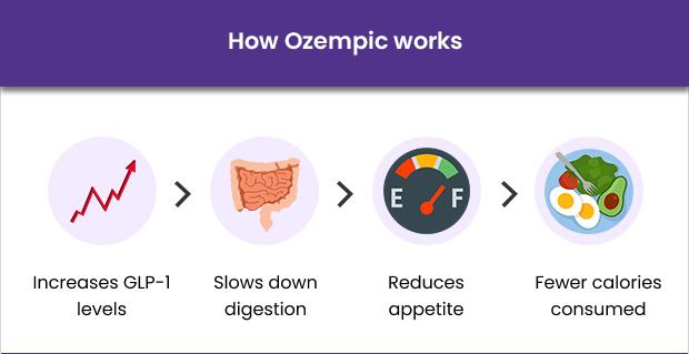 Infographic showing how Ozempic works for weight loss